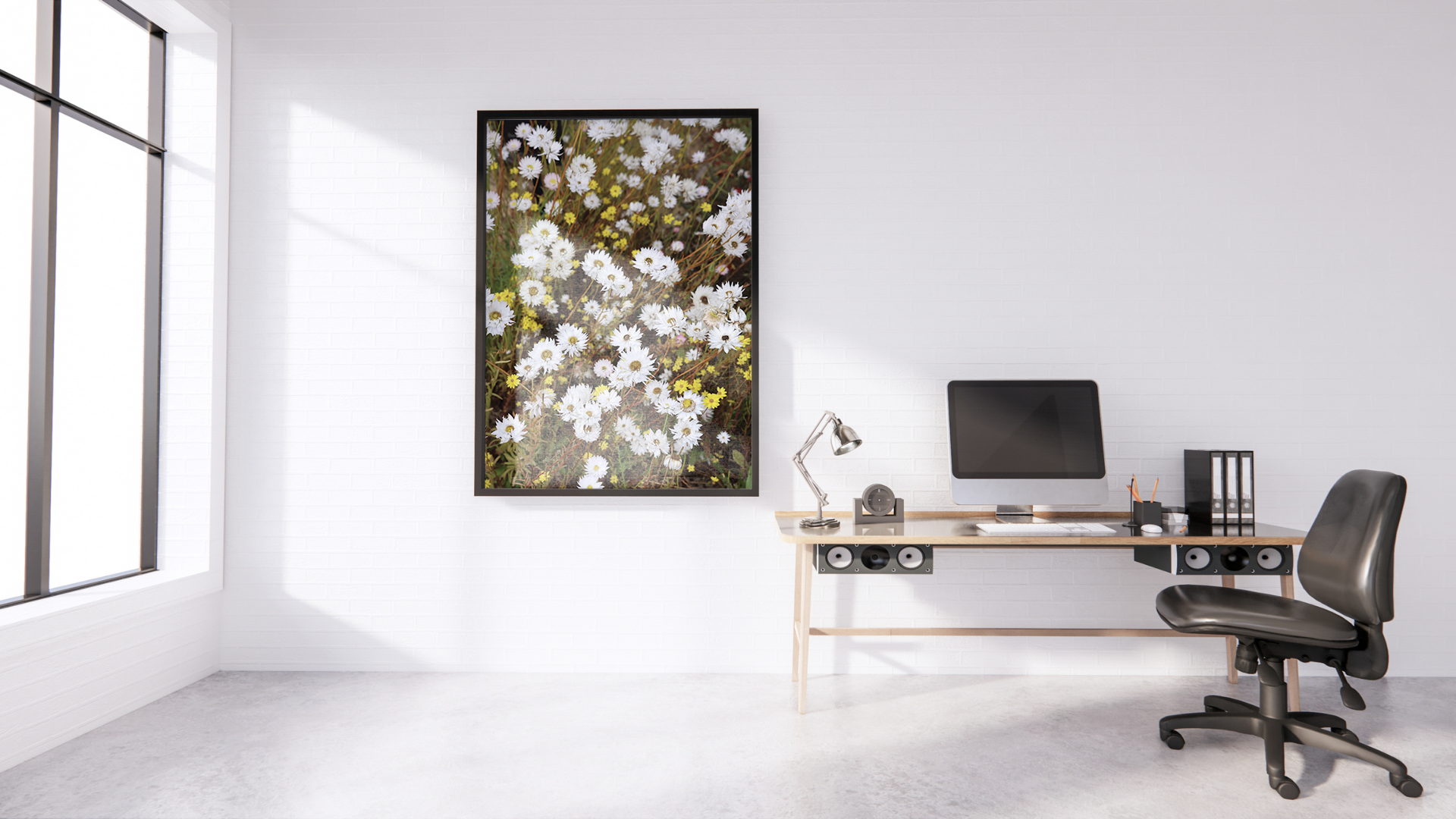 English Daisies original abstract contextualised office art modern decor photo print by Blair Montague Drake